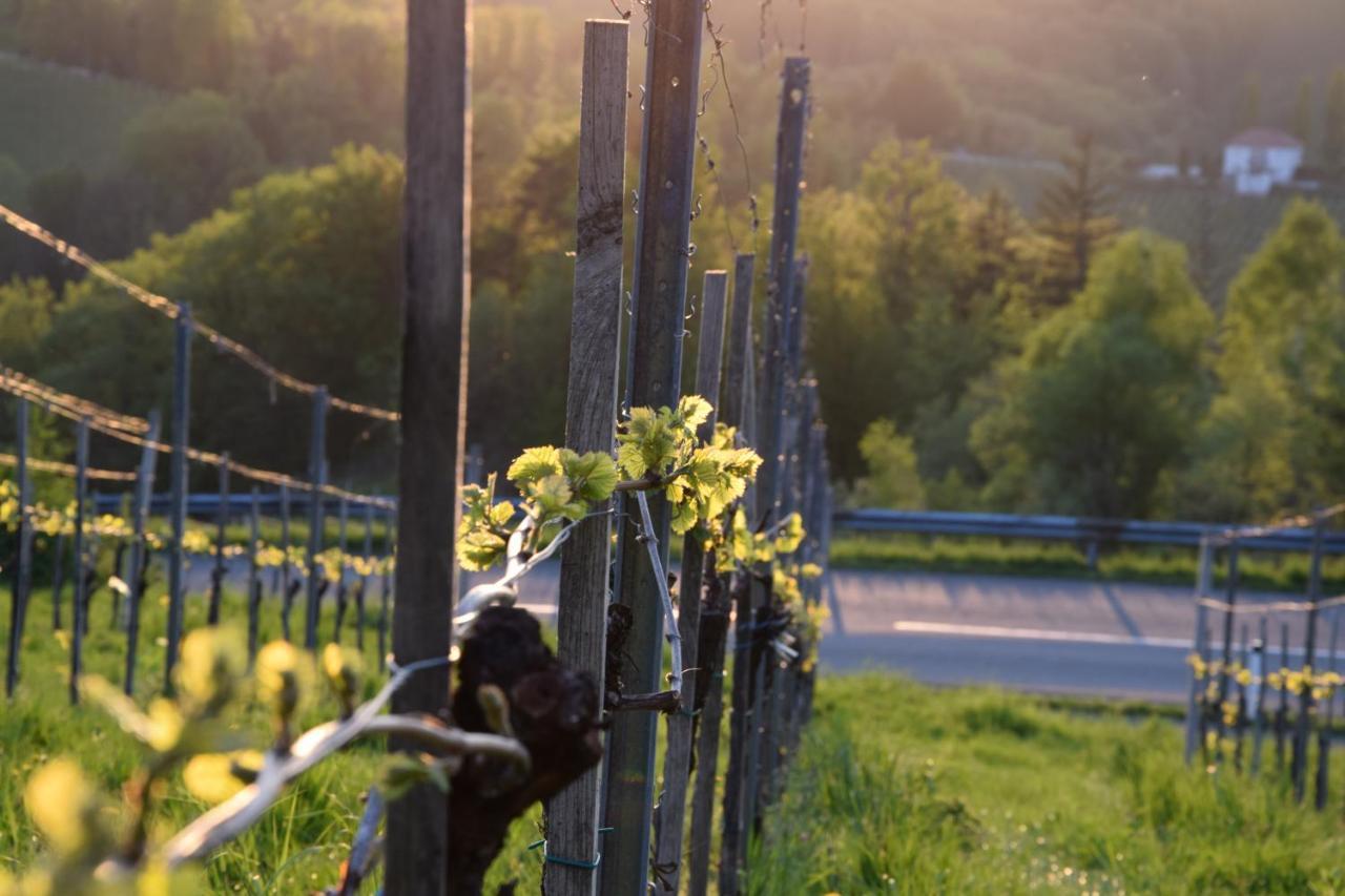 Bed and Breakfast Weingut Perner Ehrenhausen Exterior foto